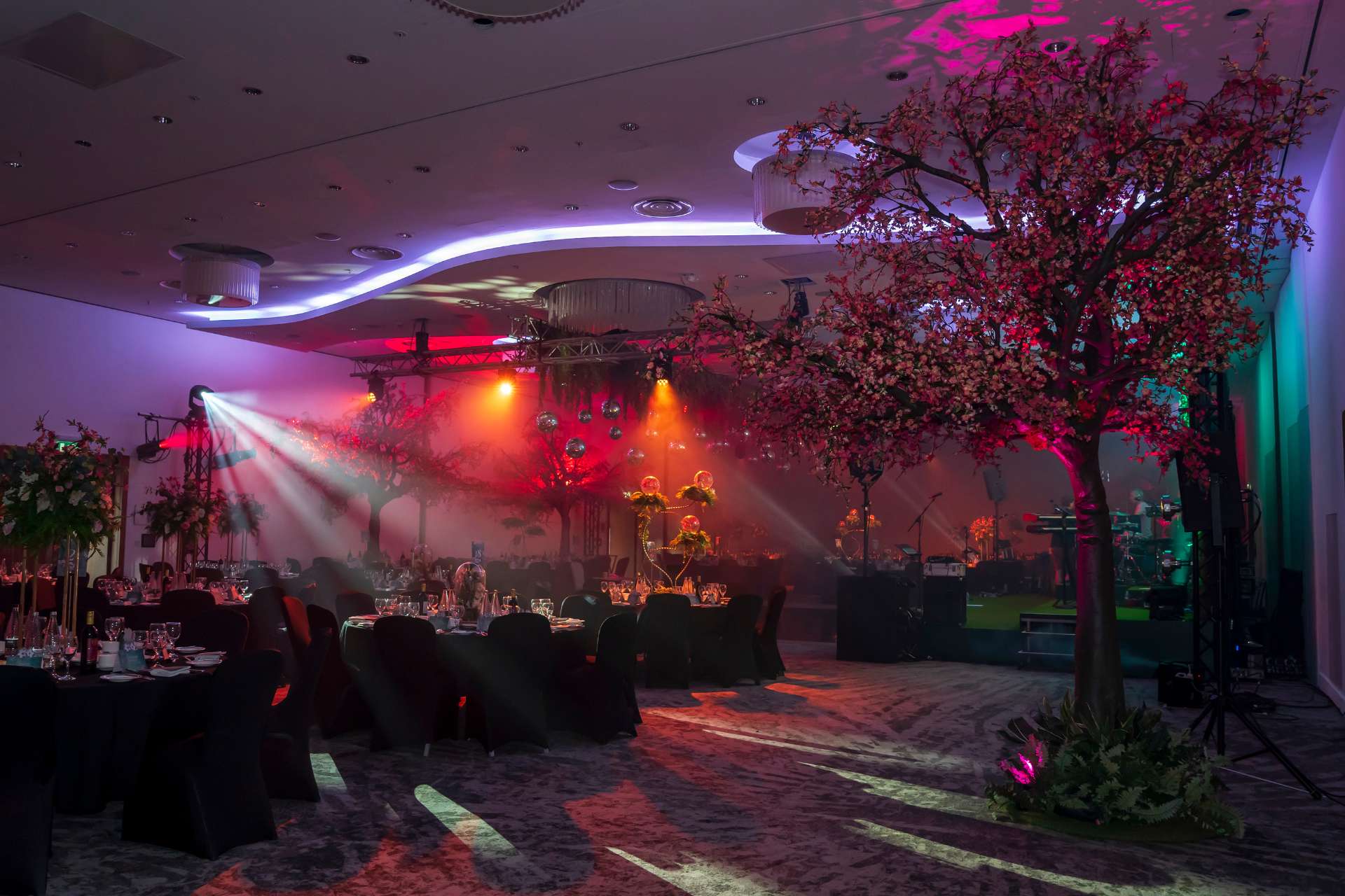 A springtime celebration to remember